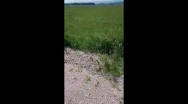 An-2 plane makes emergency landing in Transbaikalia due to oil spillage