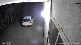 Huge Skunk Family Caught on Security Camera