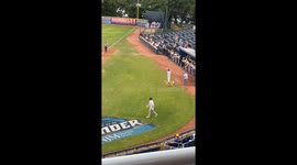 Golden Retriever Bat Boy