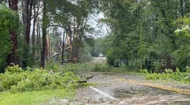 US: Tornado Fueled By Hurricane Beryl Leaves Trail Of Damage In Jasper, Texas 3