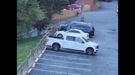 Bear encounter at hotel in Tennessee part 2. Hotel management intervention