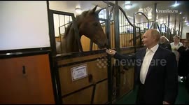 Russia: Putin and Modi Watch Horse Show and Feed Horses Carrots