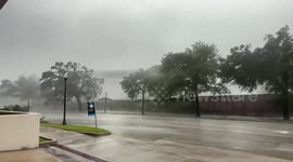 Hurricane Beryl: Video shows trees swaying due to strong winds