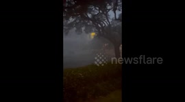 Hurricane Beryl: Videos shows strong winds and damage as storm hits Texas