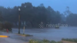 Hurricane Beryl: Video shows strong winds and trees down as storm hits Texas