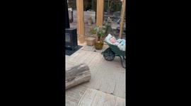 Kids nap in wheelbarrow: Hyltebruk, Sweden
