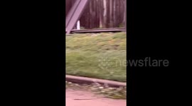 US: Storm Beryl Causes Widespread Damage In Texas