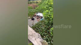 Locals smash car window sinking in swamp to save family stuck inside