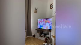 Cute dog cheers on England's Trent Alexander-Arnold during Euros penalties