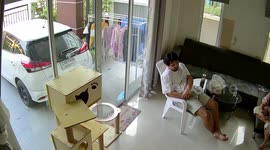 Karate cat! Evil pet launches flying strike at owner's face