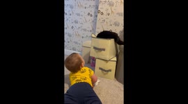 Adorable bond: Little boy and his kitten's joyful playtime