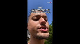 Man is amused & astounded after coming across Jamaican bee in England