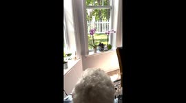 Grandma's Squirrel-Proof Bird Feeder