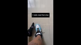 Kitten Sleeps In Needed Shoe
