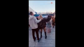 Boy surprises his girlfriend with a ring at Taylor Swift's concert in Liverpool