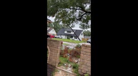 Uprooted Tree Lands on Pickup