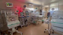 Malnutrition, fuel shortage threaten lives of premature babies in Gaza