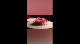 China's intangible cultural heritage: porcelain flower