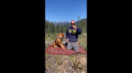 Man Uses Honey to Distract Dog During Nail Trim