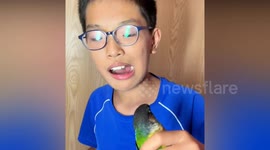 Parrot pal helps remove scared boy's loose tooth
