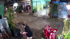 Fearless resident catches huge python outside neighbour's house