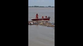Chinese firefighters rescue puppies trapped in flood
