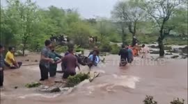 Youths risked their lives to rescue 50 goats stuck in sudden water rise in Jhilmil river water in Gwalior
