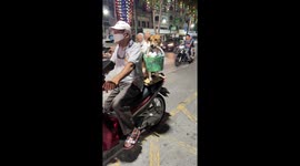 Pet dog sits on motorcycle carrying shopping basket in mouth