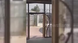 Palestine: Palestinian Body Builder Moazaz Obaiat Released After Nine Months of Detention
