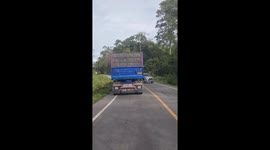 Elephant blocks road and inspects passing cars for food