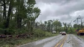 Devastating EF-2 tornado strikes pine forest near Jasper, TX