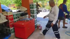 Brave pet cat stares down invading cobra to save owner