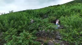Rural areas in China embracing greener development