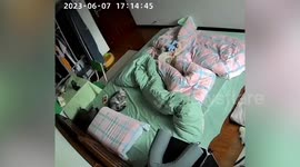 Cat wakes up from a nightmare and kicks his sister