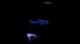 STUNNING Miami Beach 4th of July drone show features surfer, eagle & U.S. flag formations