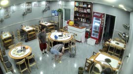 Protective cat attacks waitress after kitten accidentally stepped on in Chinese restaurant