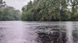 Afternoon Rainfall in Dunnellon