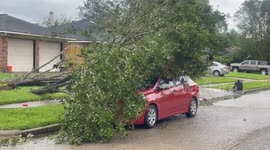 Tropical Storm Damage