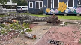 Tropical Storm Impacts Coastal Harris