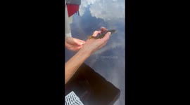 Empathic angler: Mom feeds worms to fish before releasing them