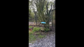 When Trying to Steal Someone Else's Food Backfires