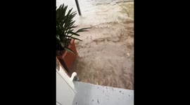Severe flooding in Galveston, Texas from hurricane Beryl