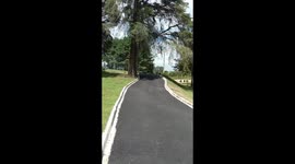 Kid Laughs Down Hill Until Stroller Hits Curb