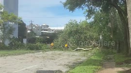 US: Storm Beryl Causes Widespread Damage In Texas 2