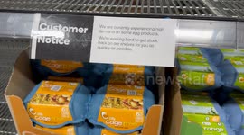 Egg shortage improves but limit remains in Sydney, Australia