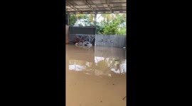A black Angora cat was evacuated when it was trapped in a major flood in Indonesia