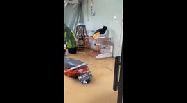 A black Angora cat was evacuated when it was trapped in a major flood in Indonesia
