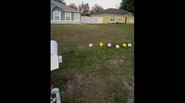 Football practice mishap: ball breaks window
