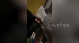 Woman on night out rescues stuck seagull stuck in bus stop