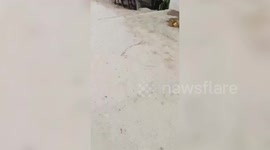 India: Bridge collapse in northern India: 13th incident in three weeks sparks safety concerns